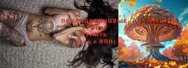 марки lsd Алексеевка