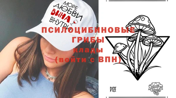 синтетический гашиш Алексин