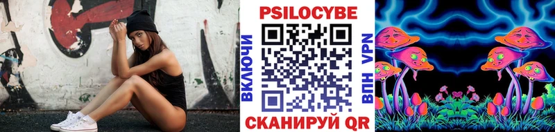 купить   мега   Псилоцибиновые грибы Psilocybine cubensis  Дюртюли 