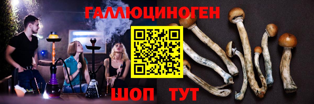 Галлюциногенные грибы Cubensis Дюртюли